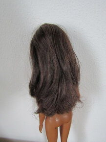 Panenka Barbie Fashionistas č. 140 - 350 Kč - 5