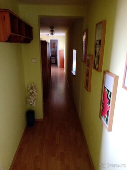 Podnájem - 5