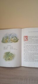 Knížky pro děti. - 5