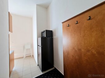 Pronájem bytu 1+1 (33 m2) + lodžie (5 m2), Praha 4 - Nusle, - 5