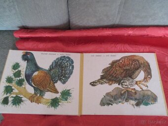 Retro knihy-pěkné - 5