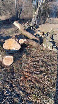 Palivové dřevo - 5