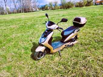 🛵Prodám Elektroskútr RACCEWAY® E-FICHTL® – světle zlatý mat - 5