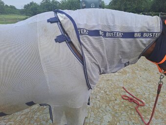 Prodám síťovou deku Horseware Amigo, 140 - 5