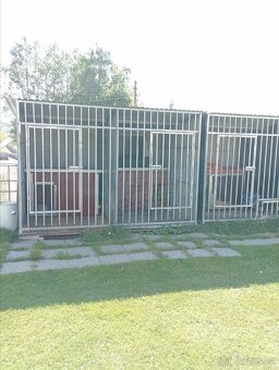 Mini psí hotel a psí školka. - 5