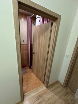 Dveře - 5