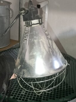 Odchovna kuřat - 5