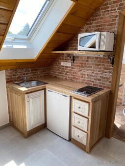 Pronájem 1kk (24m2) - 5