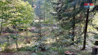 Prodej chaty, 41 m², Josefov - 5