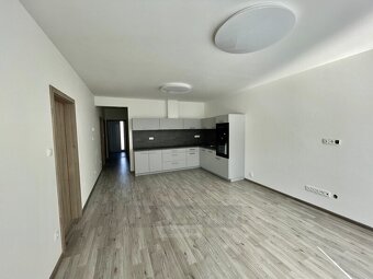 Pronájem bytu 4+kk, 80 m² + 130 m² zahrada, Roudné - 5