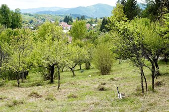 Slunný pozemek s výhledem a soukromím v Nízkých Tatrách - SK - 5