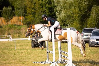 Charakterní klisna - 5