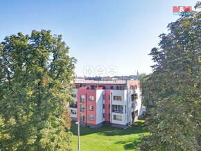 Prodej bytu 3+kk, 199 m², Český Těšín, ul. Svojsíkova - 5