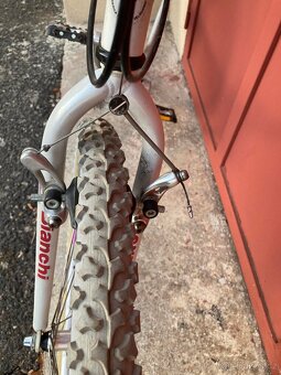 Bianchi XC 251 - 5