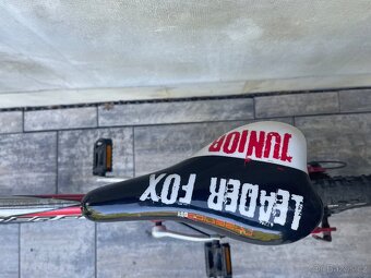 Kolo 24” Leader fox - 5