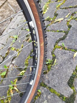 GT Avalanche 3,0 ve velikosti S - 5
