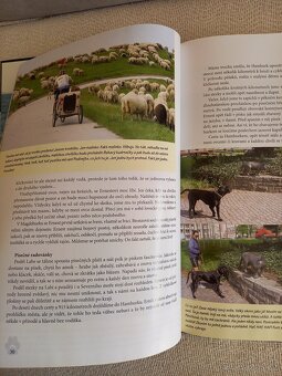 Z útulku až k moři - 5