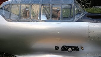 AT-6 Texan Black horse - 5