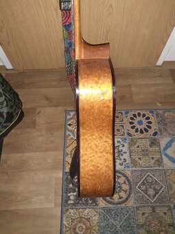 Elektroakustika-Kytara 12 struná . - 5