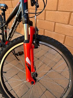 SUPERIOR RACER 24” - 5