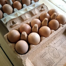 Domací vajíčka - 5