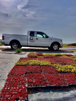 Ford F‑150 PX DL Extreme Lariat Limited – 5.4L V8 Triton - 5