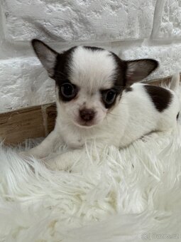 Miničivava-rezervace - 5