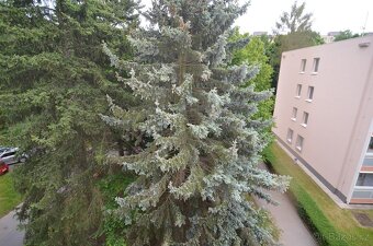 3+kk/L u metra Střížkov - 5