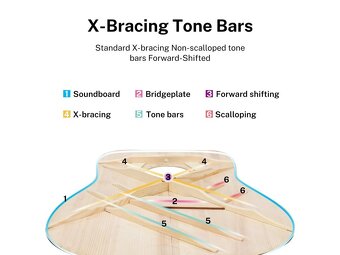 Mini Jumbo,akustická kytara DONNER DAJ 110c - 5
