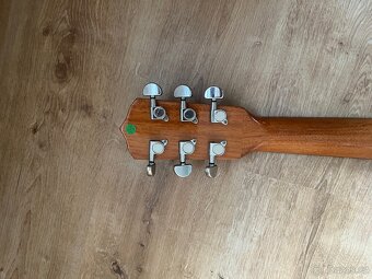 Banjo se 6 strunami - 5