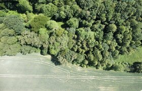Prodej lesa pole a ostatní plochy 5160 m², Baška Hodoňovice - 5