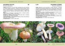 PAVEL ŠPINAR - VZÁCNÉ HOUBY TÁBORSKA - 5