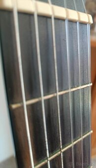 Prodám kytaru Hanika 52AF - 5