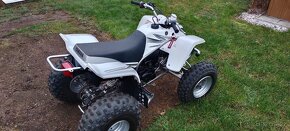 Yamaha YFS 200 Blaster - 5
