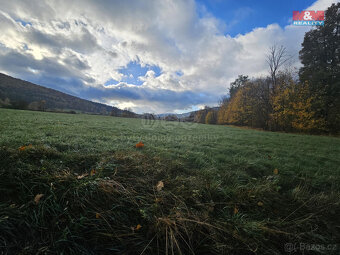 Prodej pole, 3616 m², Vrbno pod Pradědem - 5