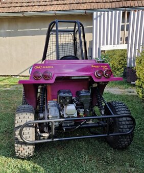 Predaj Buggy Havel Racer Beta - 5