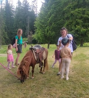 Shetland pony,aj výmena - 5