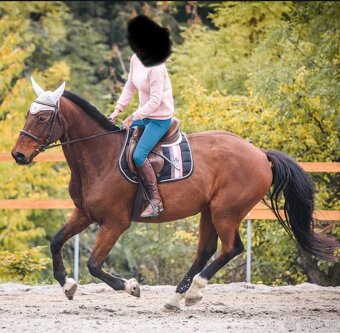 Eskadron Big Square Blackberry Black 2013 - 5