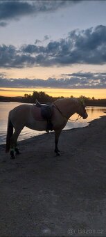 Prodám sedlo Euroriding - 5