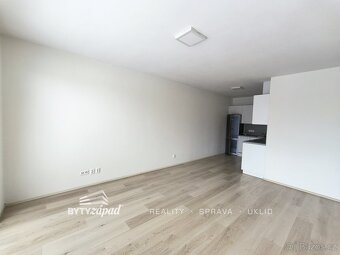 Pronájem, Byty 2+kk, Plzeň, ev.č. yIVB8447 - 5