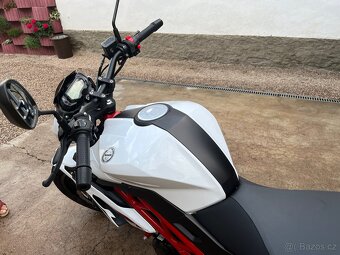 BENELLI BN 125 Euro 5 - 5