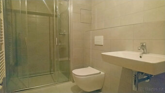 Podnájem 1+1 +park.+sklep, 40m2 (Františkov, ul. Švermova) - 5