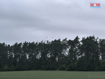 Prodej lesa, 20 128 m², Střelské Hoštice - 5
