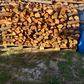 Zahradnické práce a prodej palivového dřeva - 5