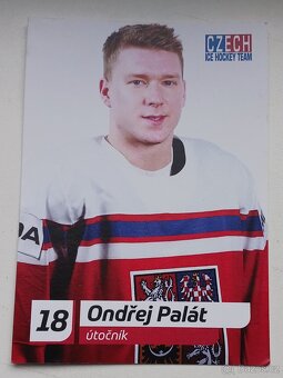 PASTRŇÁK,HANZAL,GUSAS,ŠUSTR,PALÁT - prodám REPRE fotky. - 5