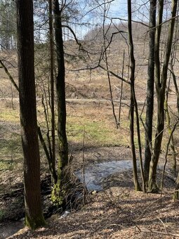 Prodám lesní pozemek v k.ú. Souboř Ledeč nad Sázavou, okres - 5