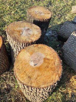 Dřevo,kulatina,špalky, olše,jasan - 5