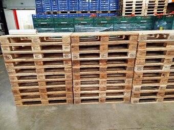 Euro palety - 5