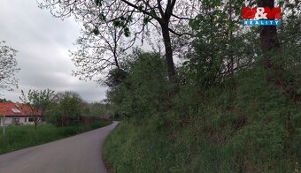 Prodej pozemku, 4173 m², Červená Lhota - 5