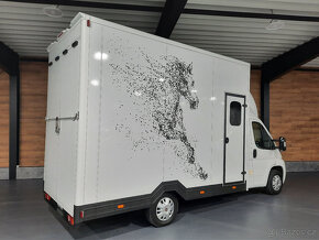 Fiat Ducato - prepravník koní, prepravník na kone - 5
